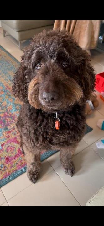 Ms Avalos said her father was a man of habit who refused to let the Perth weather get in the way of his devotion to Messi.