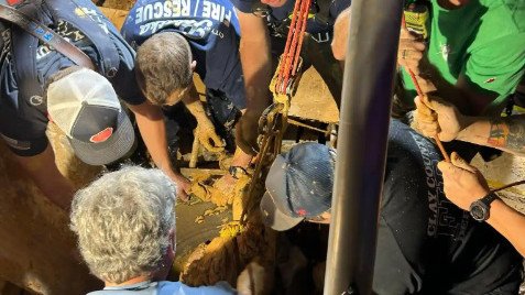 36-year-old Andrew Giddens has been rescued from Mud After Going Days Without Food and Water supplied/Palatka Fire Department