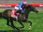 Makybe Diva has died aged 27.