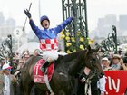 Makybe Diva with Glen Boss after the 2005 Melbourne Cup.