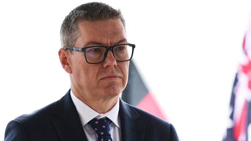 Defence Industry Minister Pat Conroy says Labor is not to blame for a surge in support for Pauline Hanson’s One Nation.