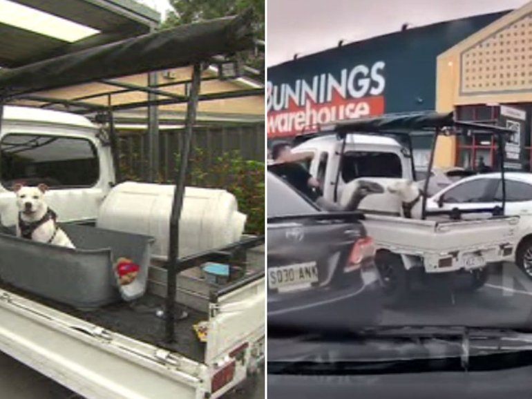 Maya was kicked in the head twice by an unknown man in a Bunnings carpark.