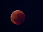 Find out how you can get a glimpse of the “blood moon”.