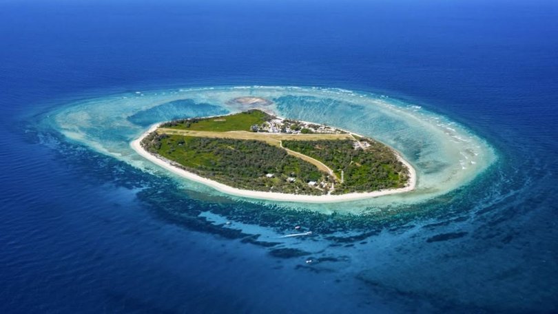 The man was snorkelling with two other people off Lady Elliot Island when he was bitten in the arm.