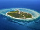 The man was snorkelling with two other people off Lady Elliot Island when he was bitten in the arm.