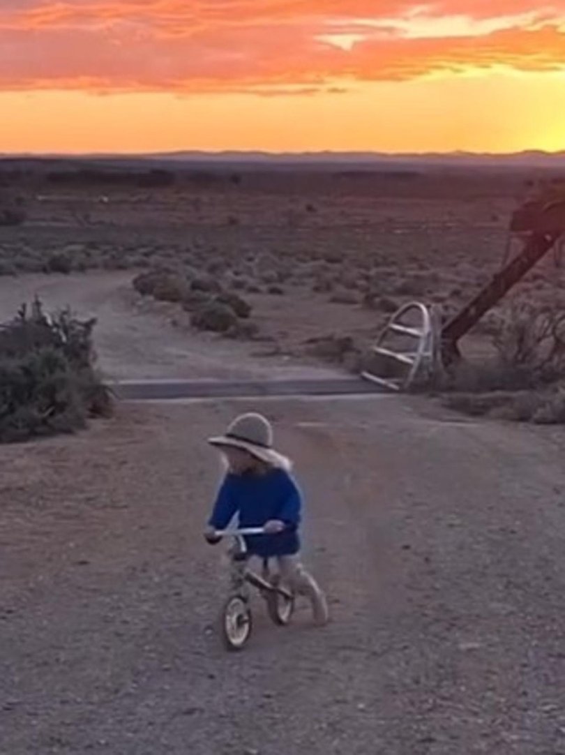 Newly released video of Gus Lamont 