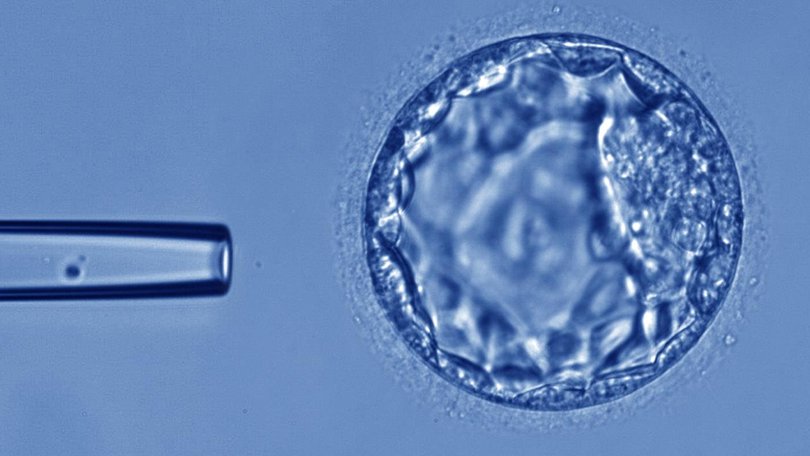 Fertility treatment company Monash IVF has agreed to settle with families that were impacted by embryo bungles at two of its clinics. Picture: Supplied