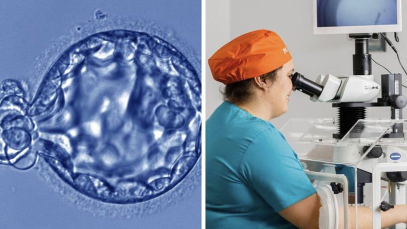 Monash IVF have agreed to settle with families involved in an embryo bungle at two of its clinics. Image supplied.