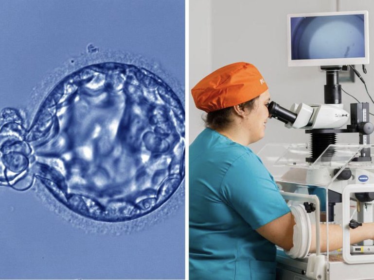 Monash IVF have agreed to settle with families involved in an embryo bungle at two of its clinics. Image supplied.