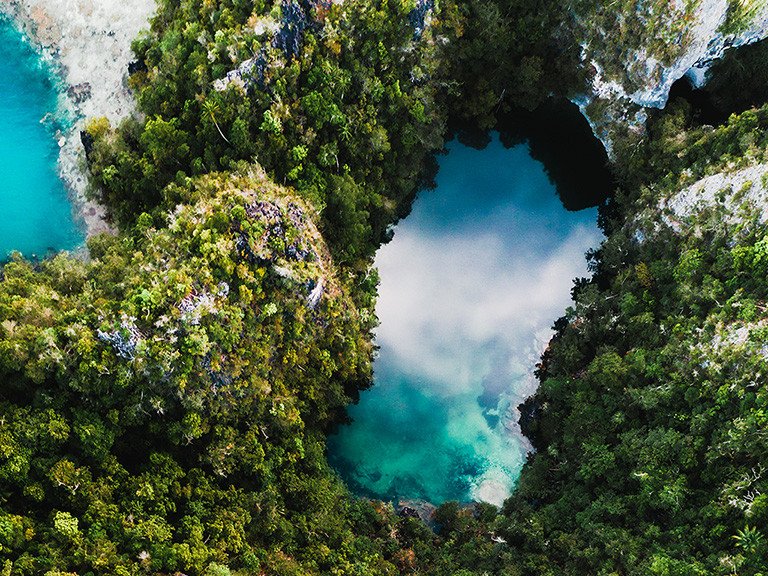 Raja Ampat’s appears serene, but below the surface is teeming with life.