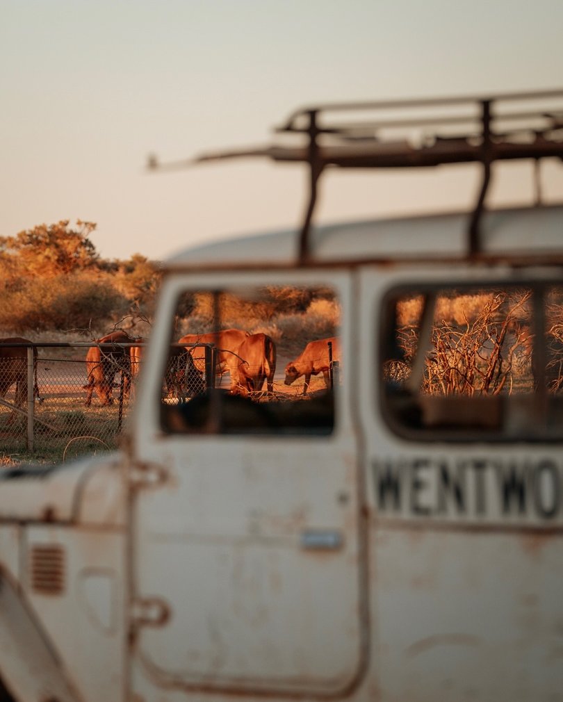 From star-filled skies and burger nights by the fire to easy access to the turquoise waters of the Ningaloo Coast, this working cattle station offers travellers a truly authentic outback stay.