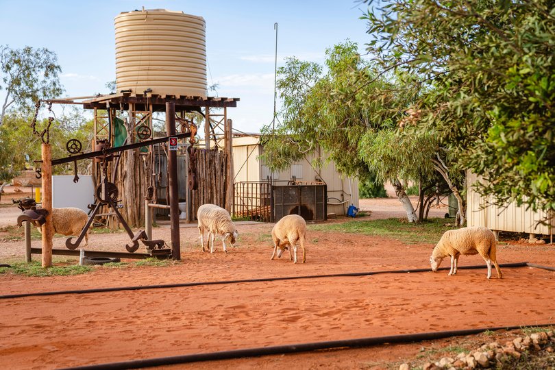 Bullara Station Stay, Exmouth Picture: Base Imagery