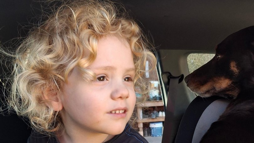 Gus disappeared from Oak Valley Station on September 27, 2025. Picture: Supplied