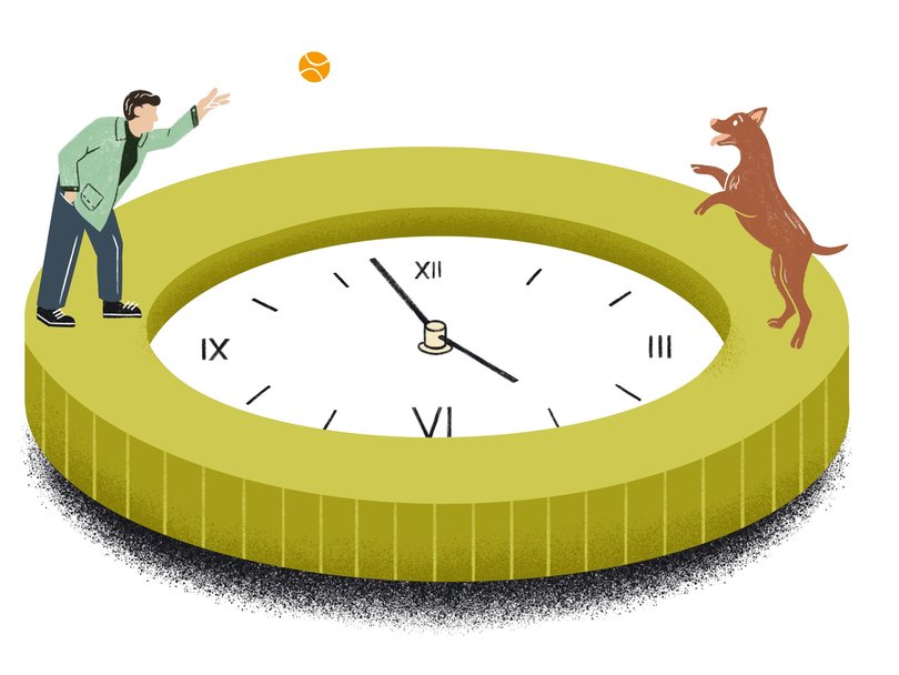 Does owning a dog make us live longer?