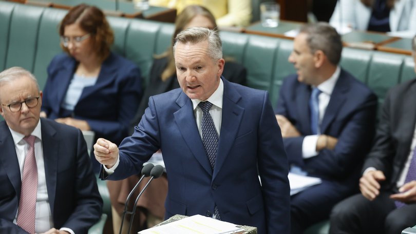 ‘I ask Australians buy as much fuel as you need, no more, no less,’ Energy Minister Chris Bowen said.