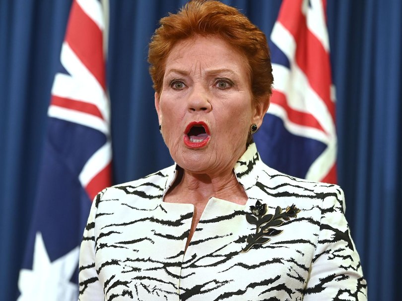 Pauline Hanson has dogged controversy since she founded the One Nation party in 1997. Picture: NewsWire / John Gass