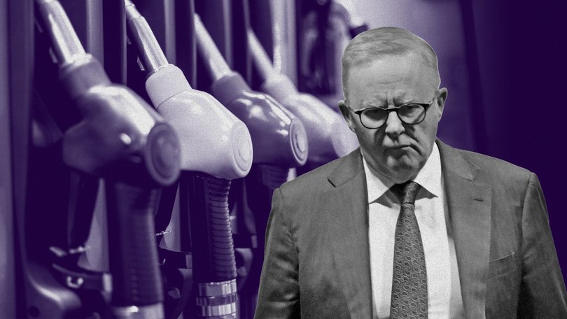 The cost-of-living crisis has roared back into life under Anthony Albanese
