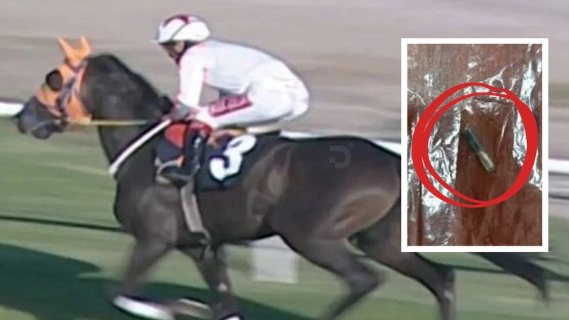 The champion racehorse Smart Latch retirement did not go to plan after the horror find.