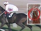 The champion racehorse Smart Latch retirement did not go to plan after the horror find.