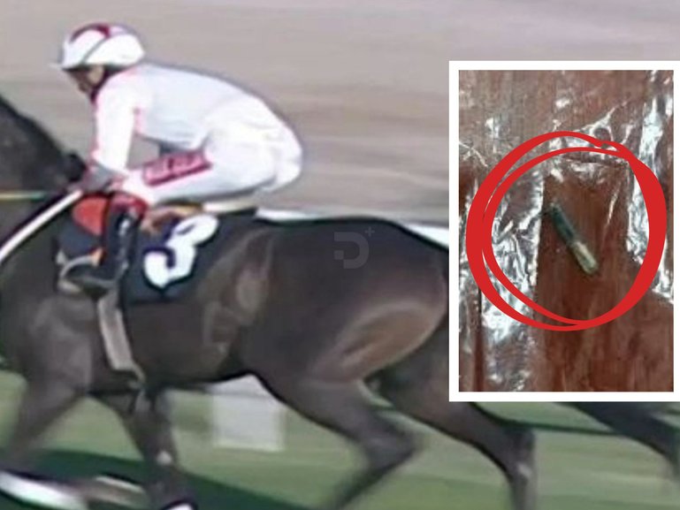 The champion racehorse Smart Latch retirement did not go to plan after the horror find.