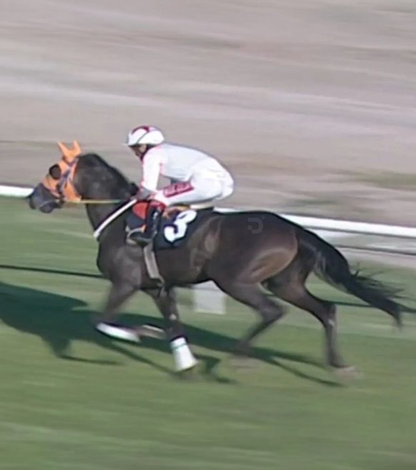 Smart Latch's microchip was found in soup servbed at a kitchen in Turkey.