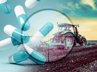  Shortages of fuels and chemicals threaten industries from farming to pharmaceuticals.