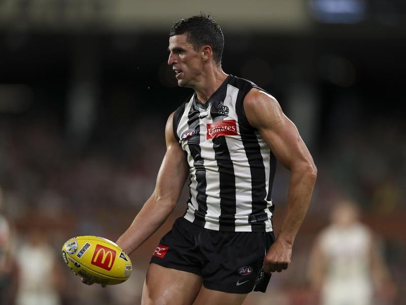 Collingwood veteran Scott Pendlebury.