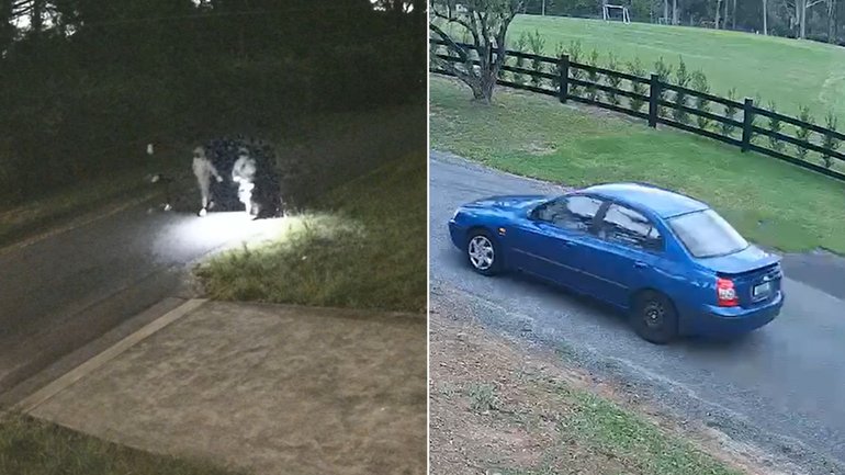 New CCTV has emerged in mistaken identity murder case.