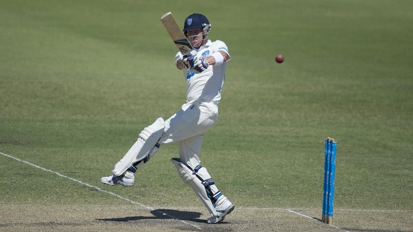 Back in Blue: Brad Haddin will take over as NSW coach from next season (Dave Hunt/AAP PHOTOS)