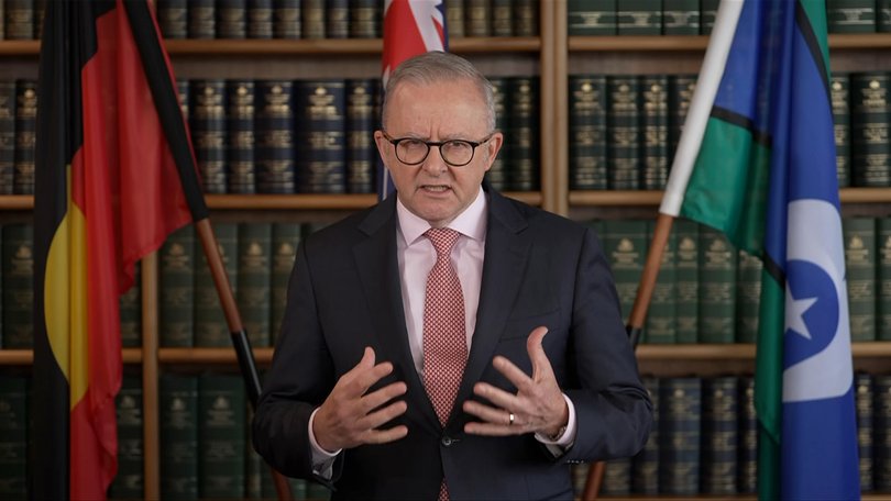Prime Minister Anthony Albanese announces new fuel tsar Anthea Harris at a press conference Thursday.