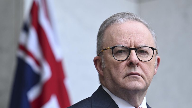 Prime Minister Anthony Albanese says One Nation ‘don’t provide solutions’.