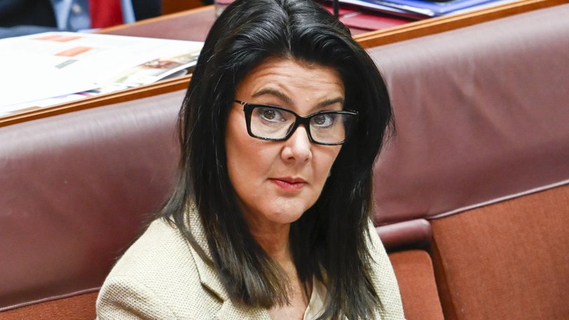 Jane Hume said working from home wouldn’t solve the problem. Picture: NewsWire / Martin Ollman