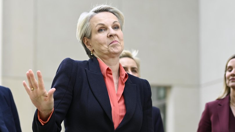 Tanya Plibersek told Barnaby Joyce to ‘be a grown-up’. Picture: NewsWire / Martin Ollman