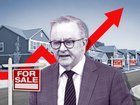 Global players are renewing concern around Anthony Albanese’s Home Price Guarantee Scheme.