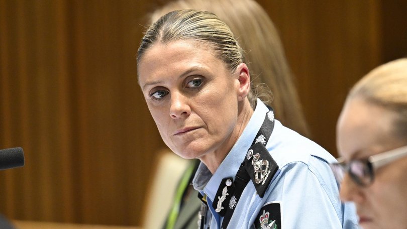AFP Commissioner Krissy Barrett said sate actors were colluding with criminals to carry out foreign interference, sabotage, and terrorism. Picture: NewsWire / Martin Ollman