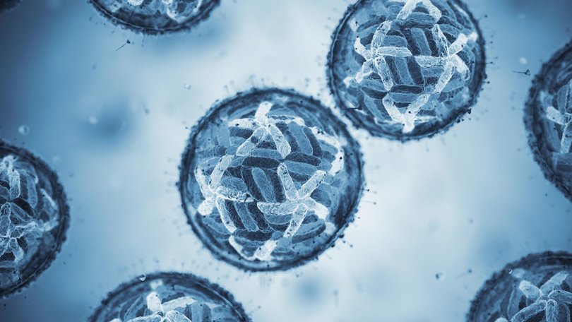 Travellers are being urged to take precautions overseas as global cases of the potentially deadly mosquito-borne illness known as ‘breakbone fever’ continue to rise.