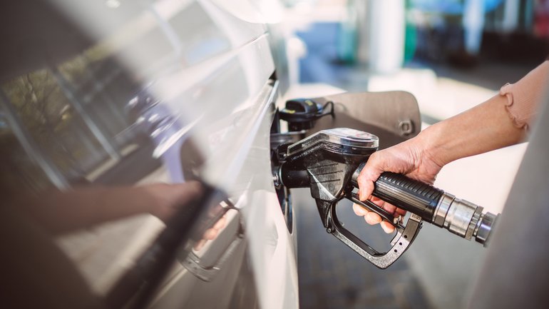 Next week’s sitting of Federal Parliament would be cancelled and politicians instead able to deliver their speeches online from home under a radical proposal from the Greens. 