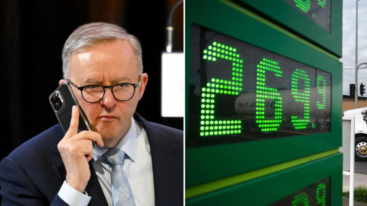 EDITORIAL: Anthony Albanese must step up and lead as fuel crisis hits
