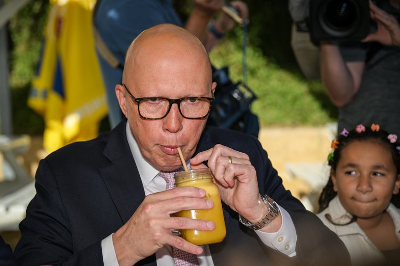 Opposition leader Peter Dutton.