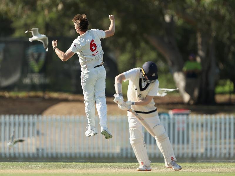 Liam Scott celebrates claiming the key wicket of Oliver Peake in SA's Sheffield Shield triumph.  