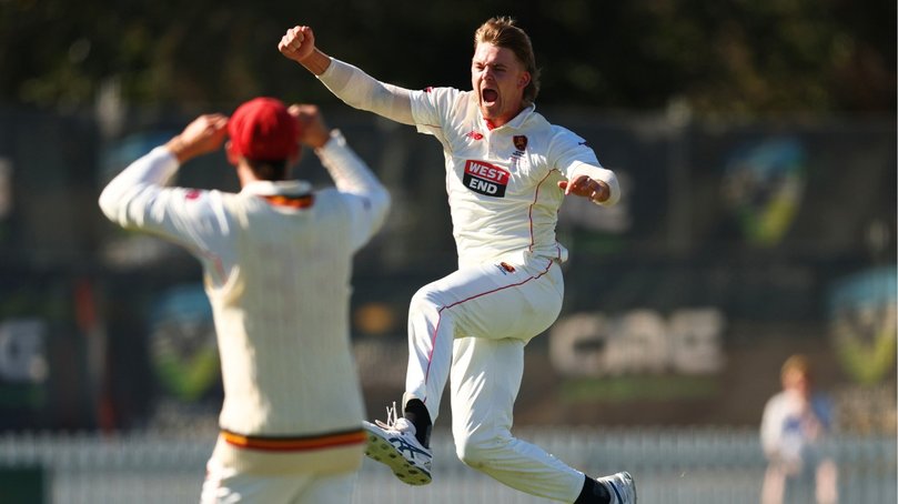 Henry Thornton delivered the knockout blow to sink Victoria in the Sheffield Shield final.