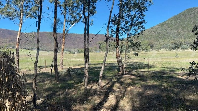 Fugitive gunman Dezi Freeman has been shot dead after an armed confrontation with police.