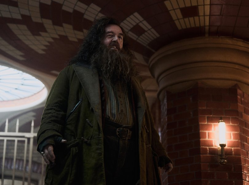 First look at Hagrid.