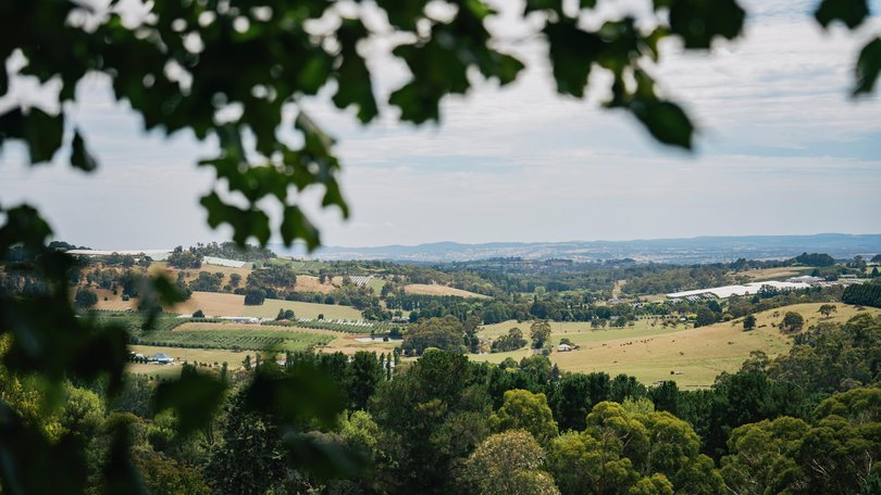 We saddled up the new Ineos Grenadier, piloting a path from Sydney to Orange to explore the NSW fruit bowl.