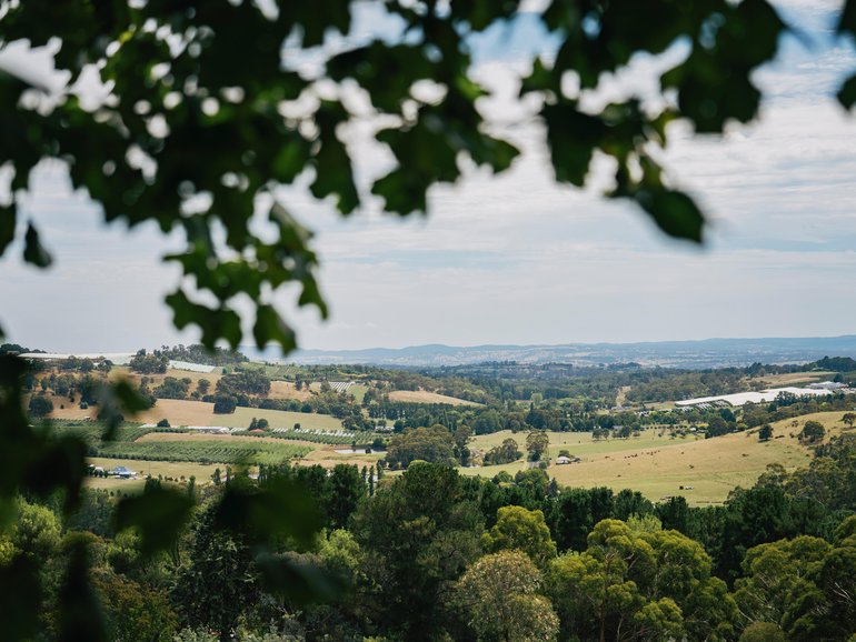 We saddled up the new Ineos Grenadier, piloting a path from Sydney to Orange to explore the NSW fruit bowl. 