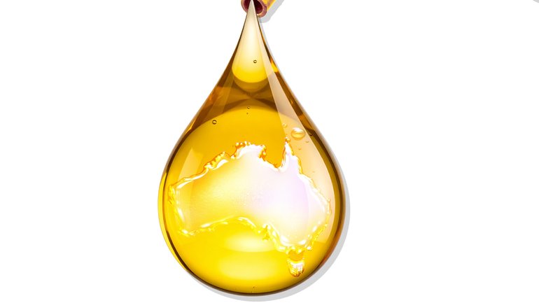 Environmental activists are blocking Australia’s energy potential.