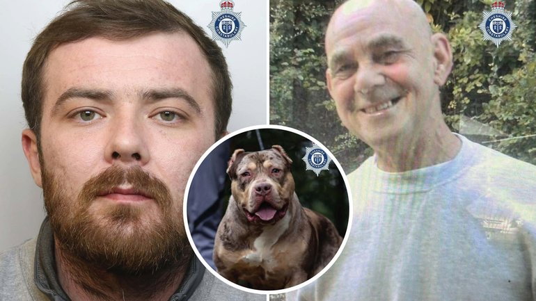 ‘Many of those who attended described the attack as one of the most traumatising incidents that they have ever dealt with.’