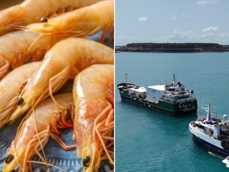 Raptis is set to cease operations after administrators were unable to find a buyer or secure new funding, with the wind-down expected to impact more than 200 workers across Queensland.