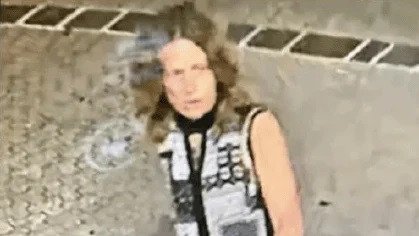 The woman was last seen going into the Brisbane River.