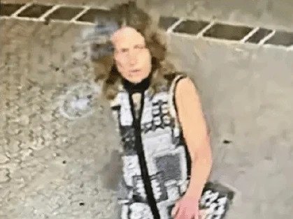 The woman was last seen going into the Brisbane River.